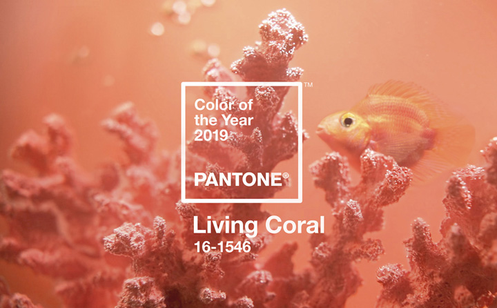 Pantone 2019ɫɺůĹռ